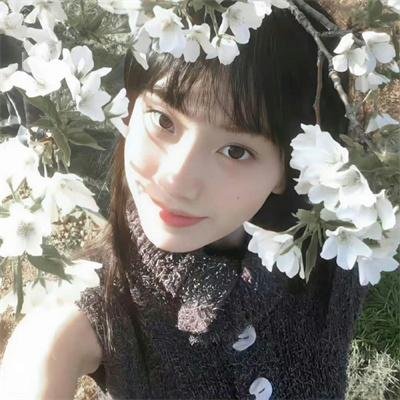 西藏秘密