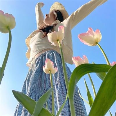 妈咪方程式